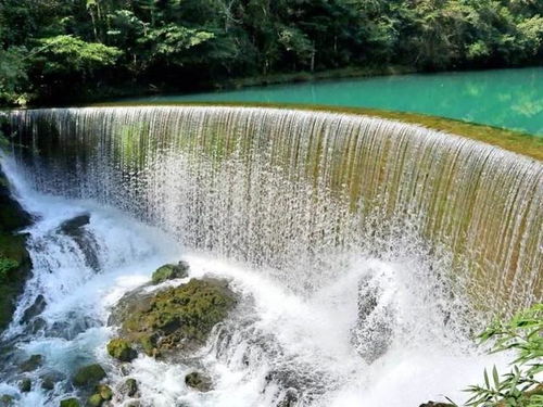 游覽行為是否文明反映一個(gè)人的素質(zhì)